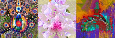 ART PUZZLES — Flores, Naturaleza y Obras